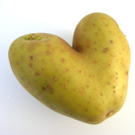 Aardappel