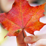 Weg met die najaarsdip!