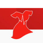 Morgen extra aandacht voor hart- en vaatziekten bij vrouwen