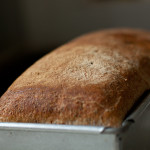 Teffbrood: afvallen of glutenallergie?