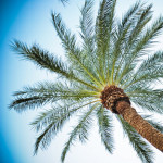 Op vakantie: denk aan de vaccinaties!