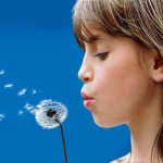 Explosie aan hooikoortsklachten