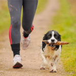 Bewegen in de buitenlucht gezonder dan in een sportschool