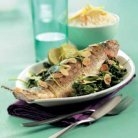 forel_1_klein_1