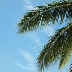 Zo laat je alles echt los op vakantie