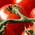 Tomatensaus bevat lycoteen, vitaminen en mineralen tegen ziekten