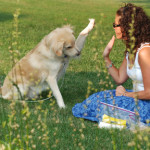 Kat of hond echt goed voor de gezondheid