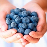 Rode druiven en bosbessen goed voor onze weerstand Rode druiven en bosbessen goed voor onze weerstand