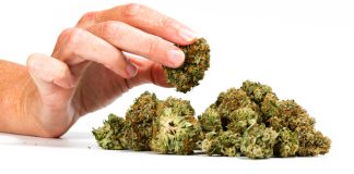 Medicinale wiet met behulp van een vaporizer medicinale wiet