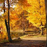 Tips voor meer energie tijdens de herfst herfst